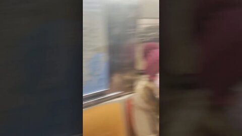 6 train in New York City 2021.