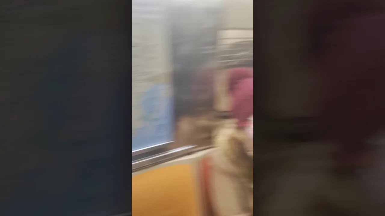 6 train in New York City 2021.