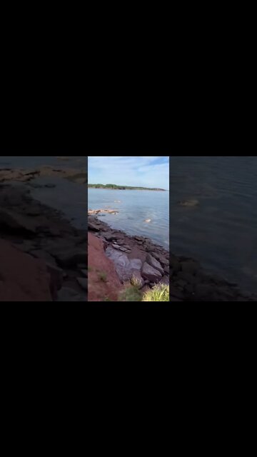 Looking off a cliff on PEI