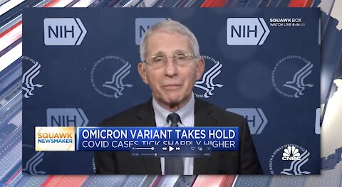 Mammoth Nation Weekly Update - December 19th