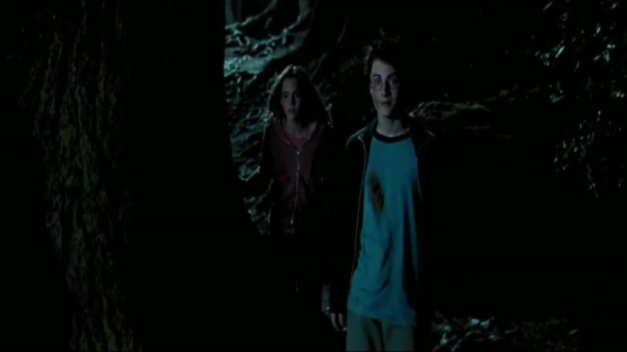 Harry Potter and the Prisoner of Azkaban -You're dying-I saw myself-cause I already done it