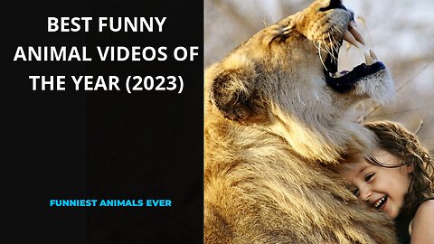 Best Funny Animal Videos of the year (2023), funniest animals ever. relax with cute animals video