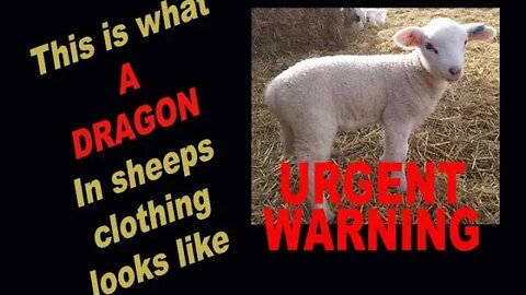 URGENT WARNING!!! The Dragon Stands Before the Woman