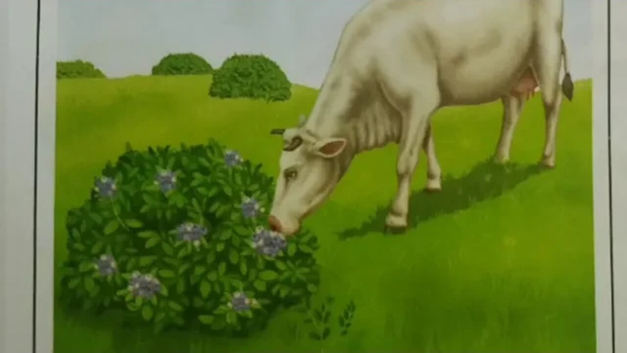 Class III Science UNIT 5 PART 1