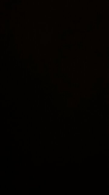 Power slap: road to the title