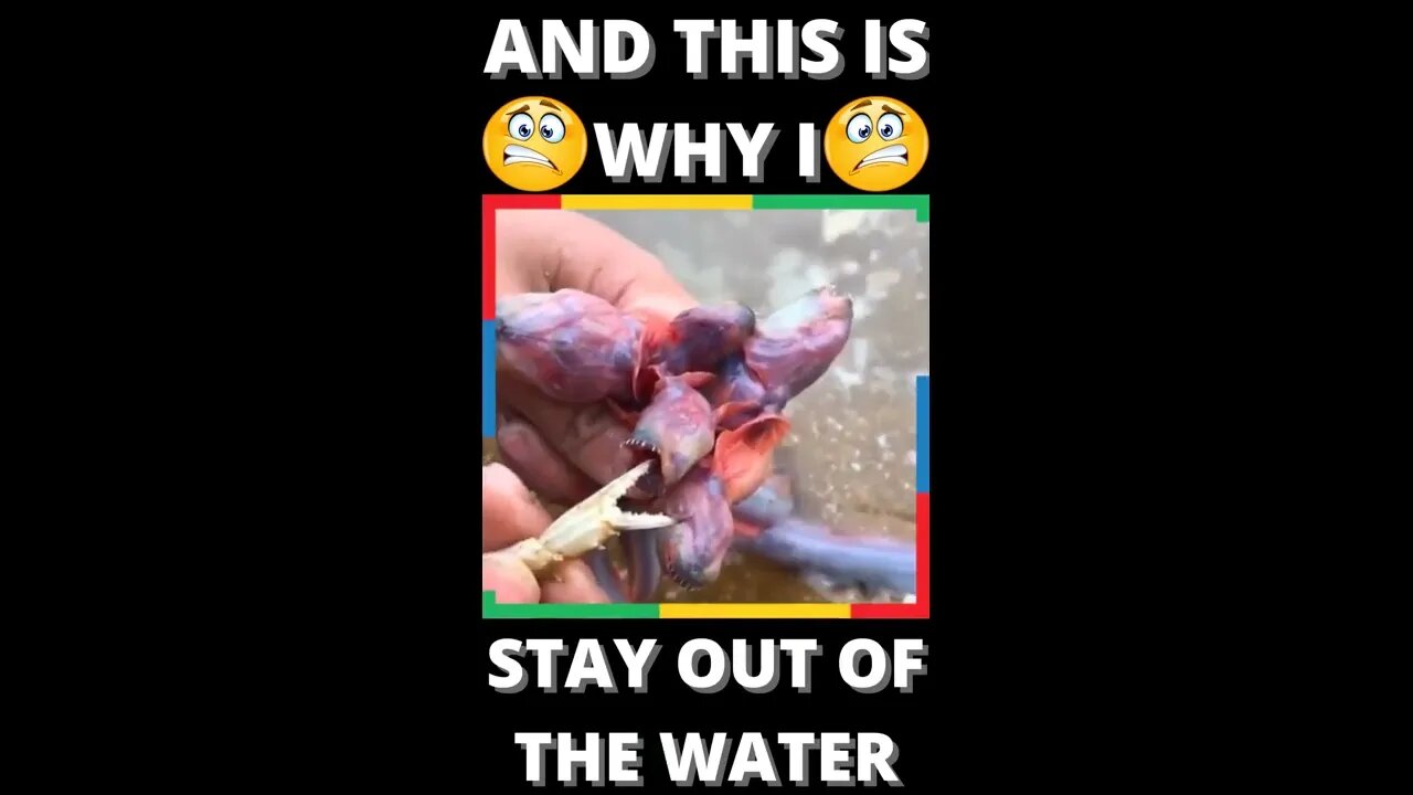 |NEWS| This Is Why I Don't Go Swimming