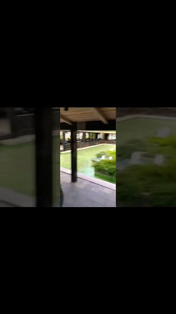 Bistro Bakery in Berezivka Kyiv Ukraine