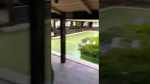 Bistro Bakery in Berezivka Kyiv Ukraine