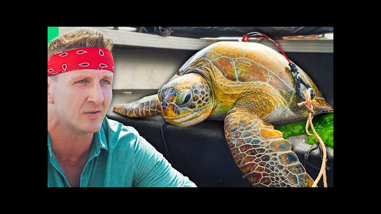 Eating Sea Turtle!! Why The Australian Tradition Continues!!