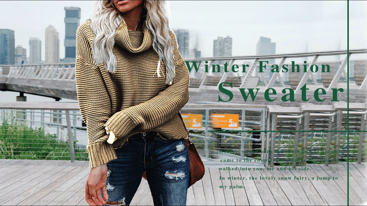 Womens Casual Turtleneck Sweater