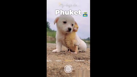 kid's comedy and funny video 🤣🤣🤣🤣🤣🤣
