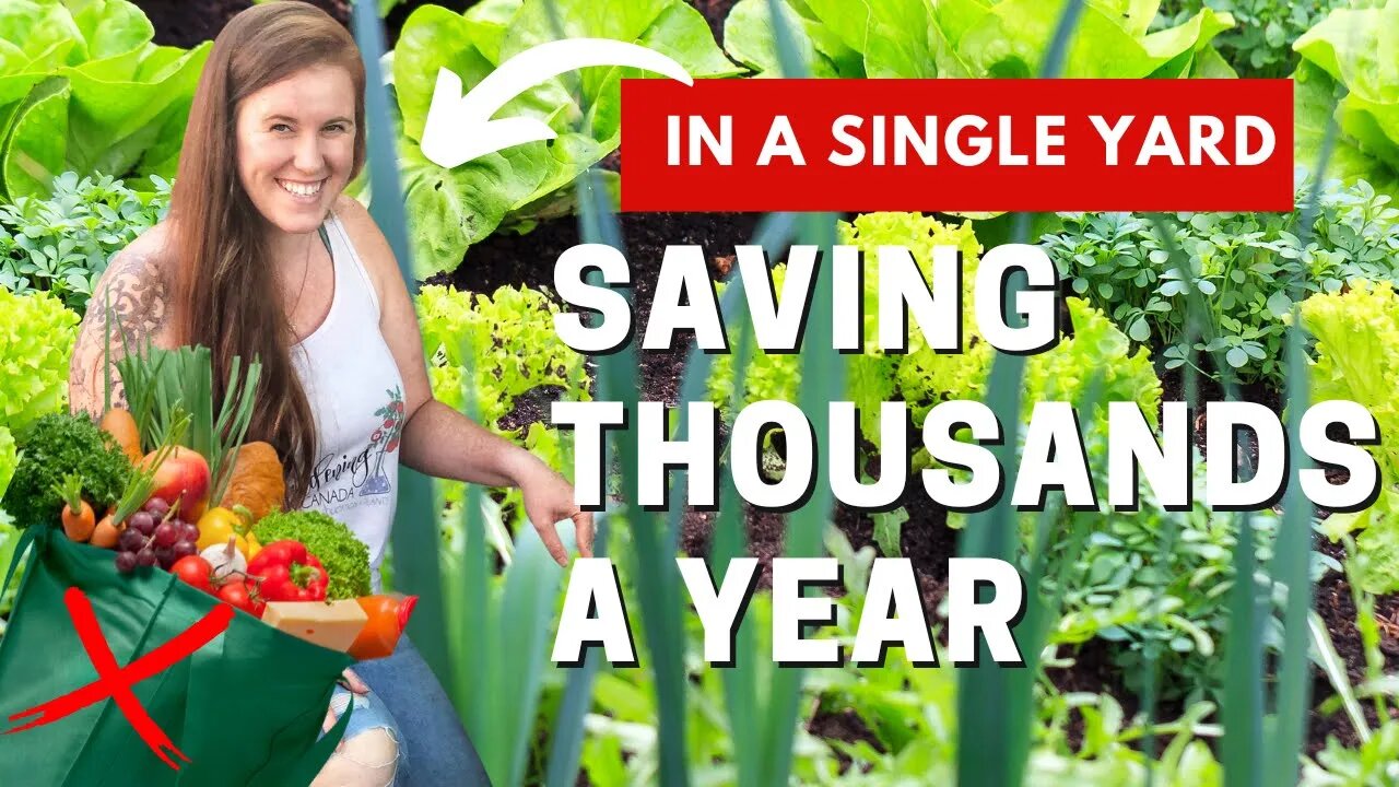 Garden Plants That Save Money On Groceries All Year In Any Climate. KEEP IT SIMPLE