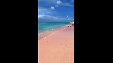 Pink beach, Bahamas