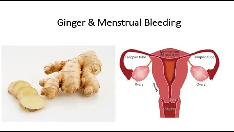 Ginger and Heavy Menstrual Bleeding