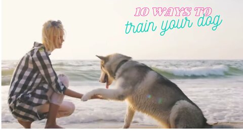 10 Ways to train your dog. Commands Every Dog Should Know!