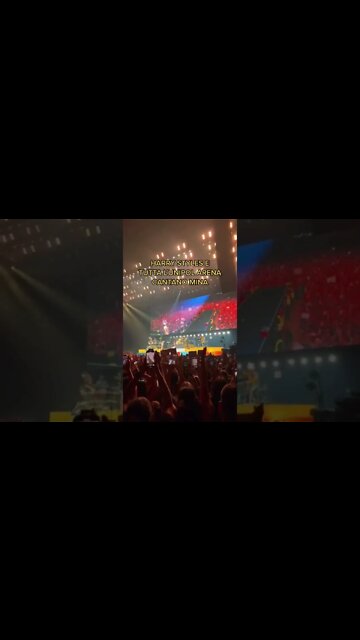 HARRY STYLES CANTA MINA CON I FAN