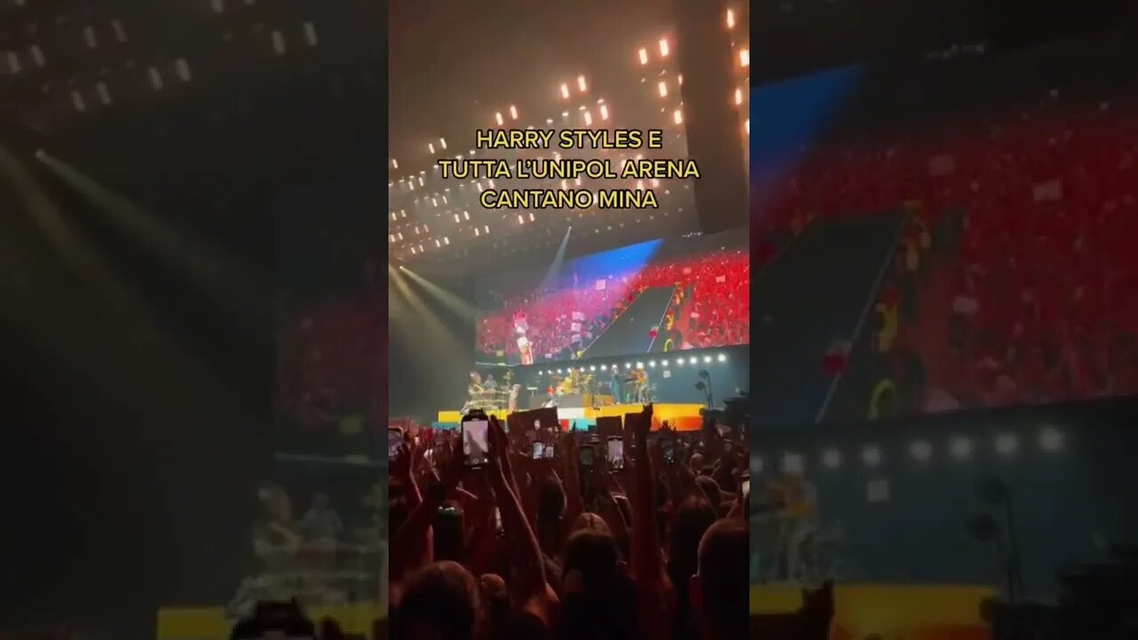 HARRY STYLES CANTA MINA CON I FAN
