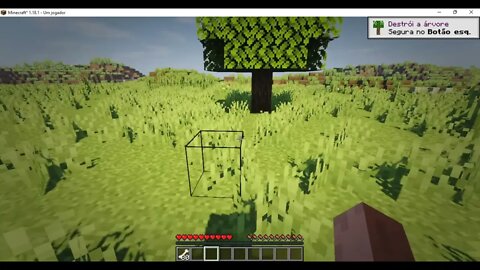 Testando Minecraft Java Edition