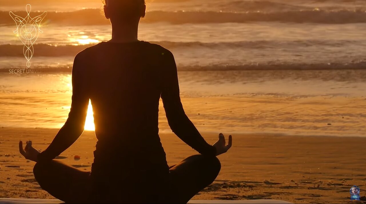 𝐓𝐡𝐞 𝐋𝐢𝐨𝐧'𝐬 𝐆𝐚𝐭𝐞 𝟖/𝟖 𝐏𝐨𝐫𝐭𝐚𝐥 𝟐𝟎𝟐𝟑