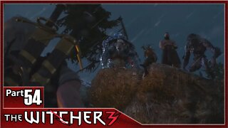 The Witcher 3, Part 54 / Dragon, Skellige's Most Wanted, Missing Son, The Heroes Pursuits