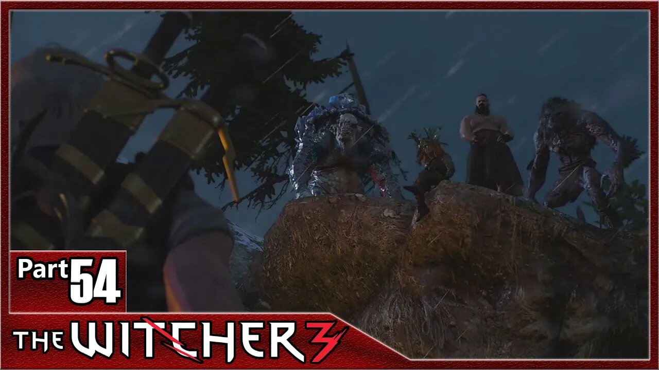 The Witcher 3, Part 54 / Dragon, Skellige's Most Wanted, Missing Son, The Heroes Pursuits