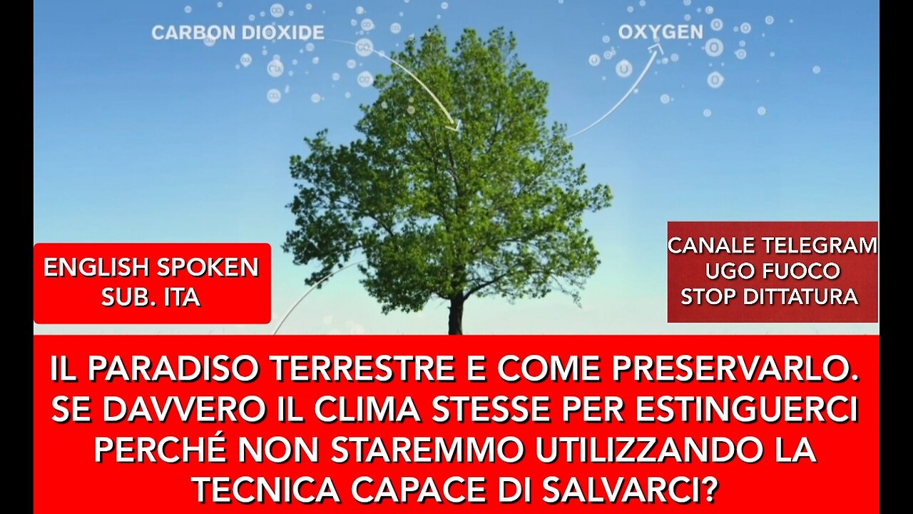 STIAMO MORENDO? PERCHÉ ALLORA NASCONDONO LA TECNICA PER SALVARCI?