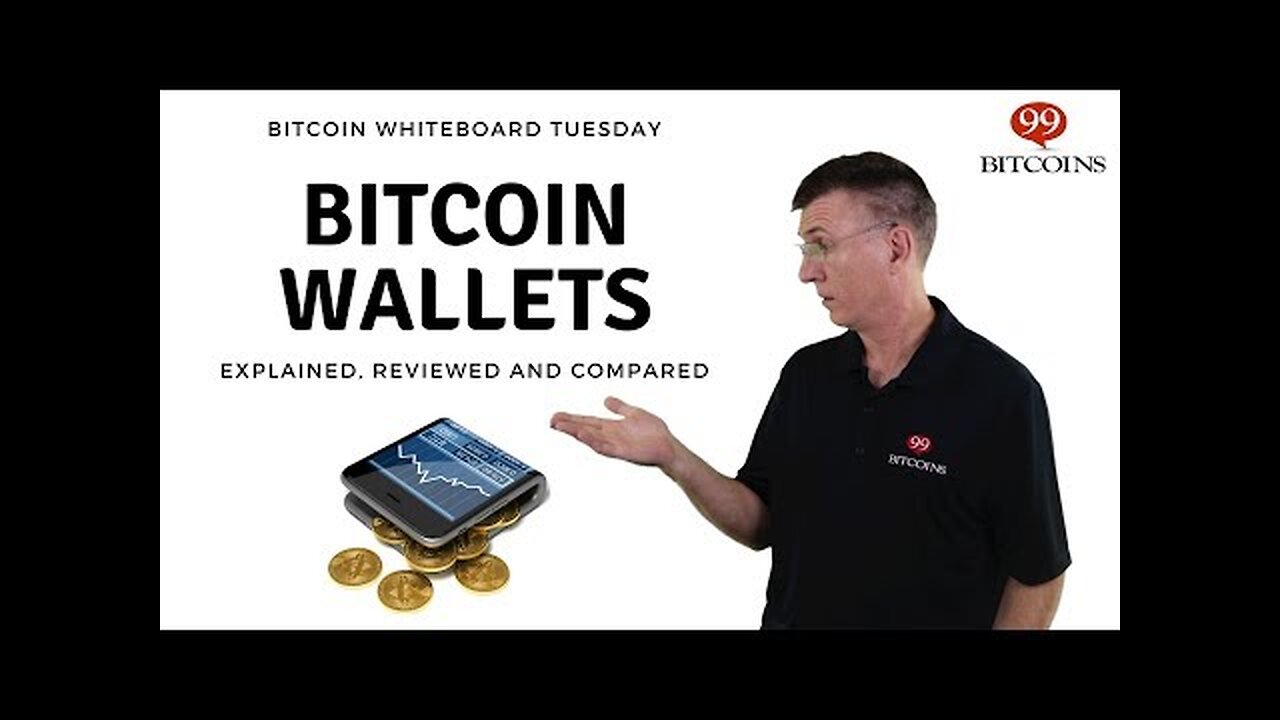 What is a Bitcoin Wallet_ (in Plain English)