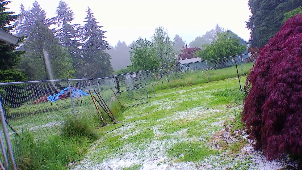 To Hail With It!