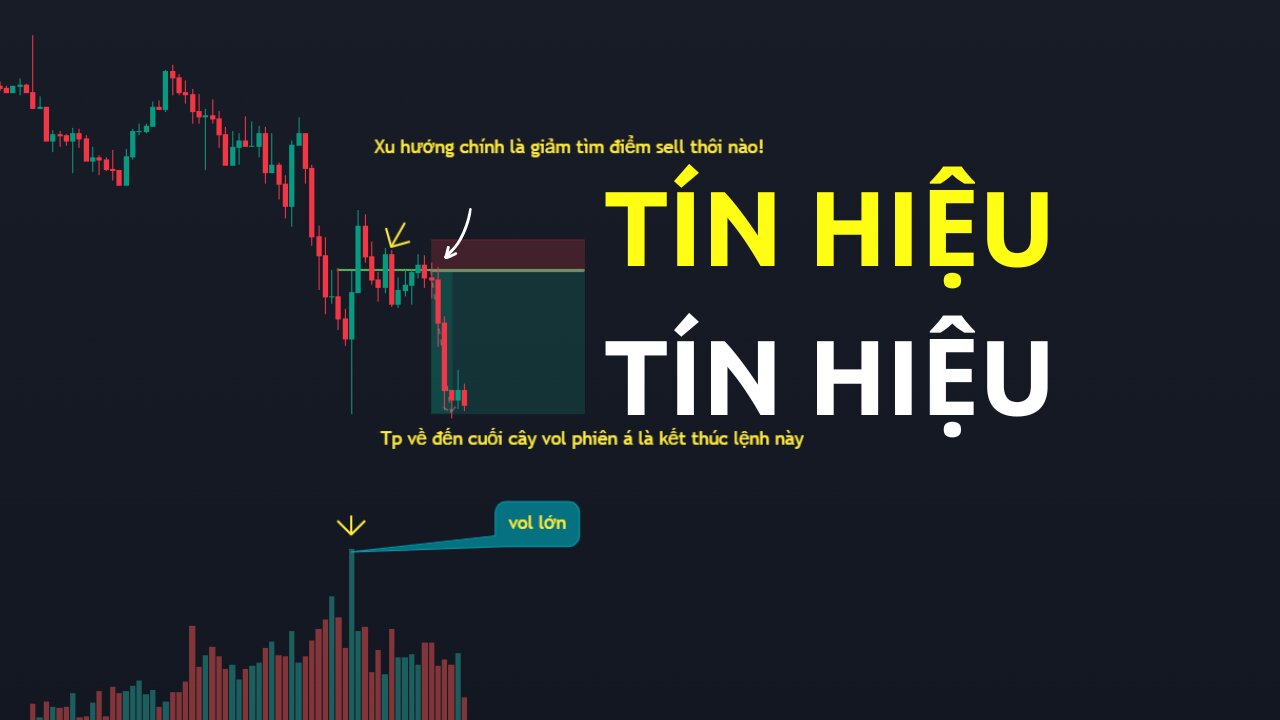 Có tín hiệu là vào lệnh | Trading | Angel