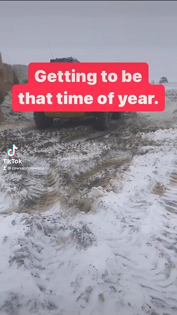 Its That Time Of Year