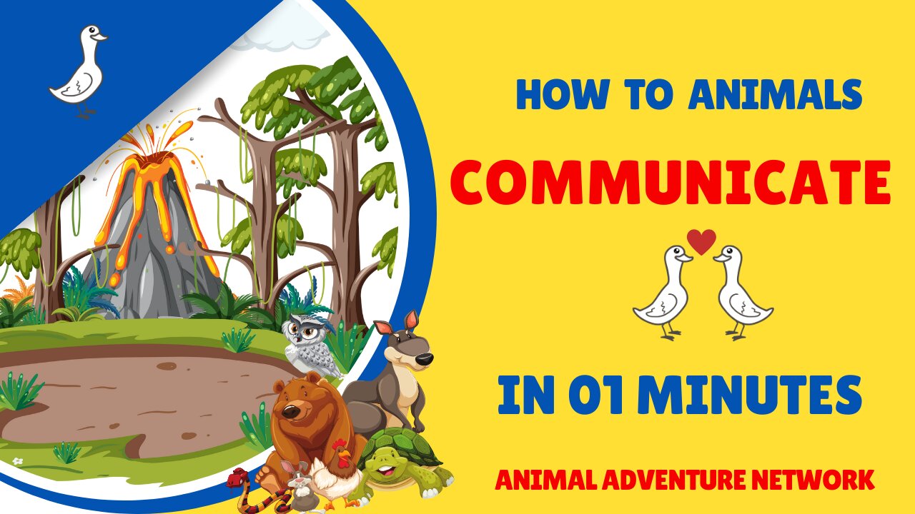 How To Animals Communicate with Eachother 🐾🌿