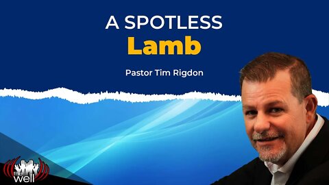 The Spotless Lamb