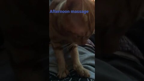 best massage#satisfyingvideo . #shorts #viral #animallover subscribe for more