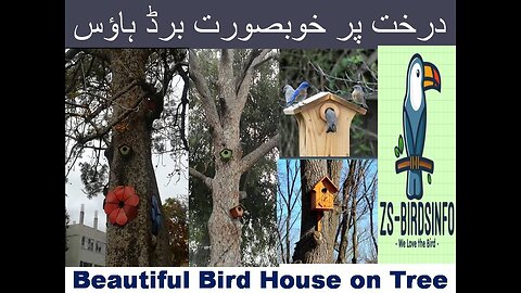 درخت پر خوبصورت برڈ ہاؤسBird House on Tree.