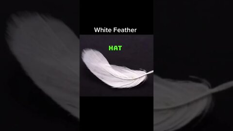 Deadliest Snipers Ever #shorts