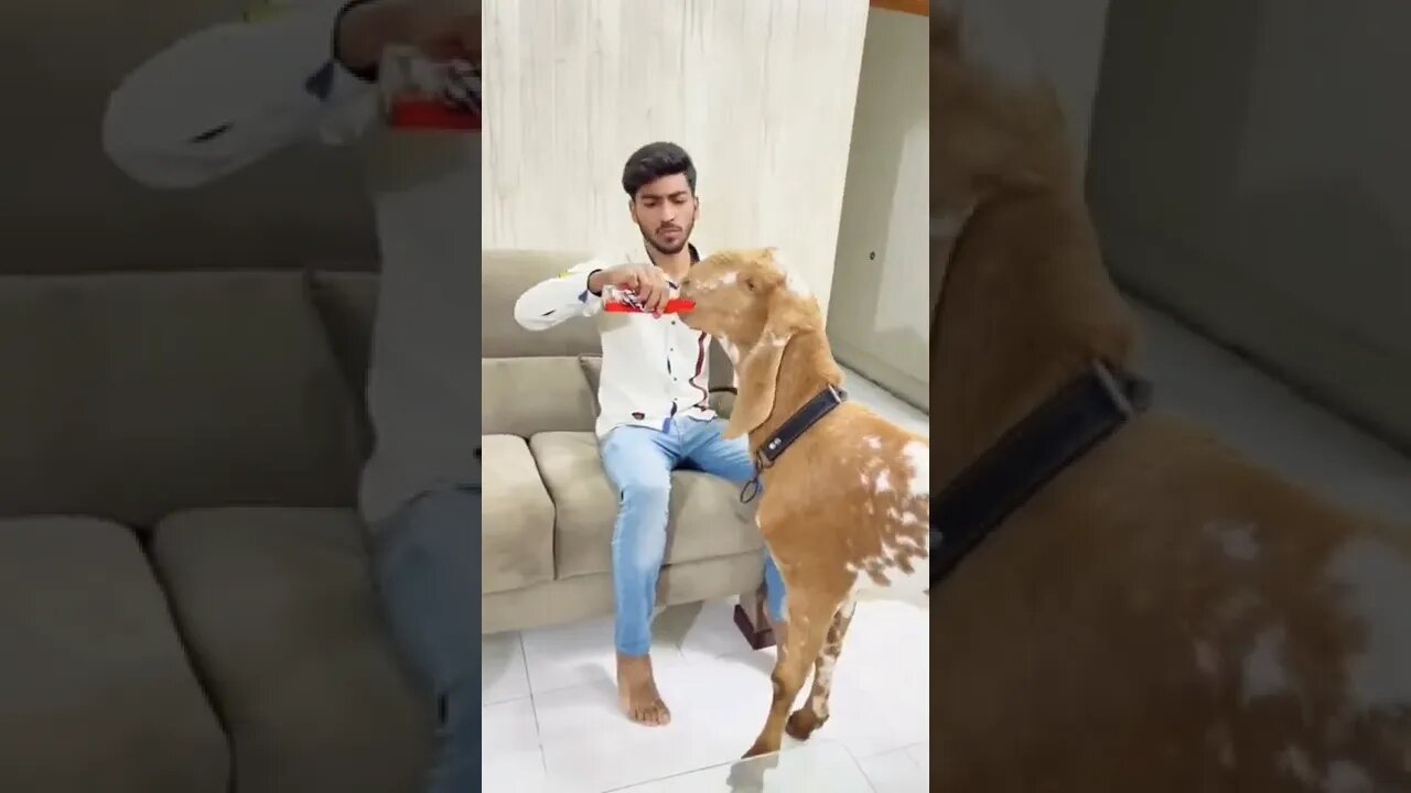 Bakra Eid Special #shorts #vural