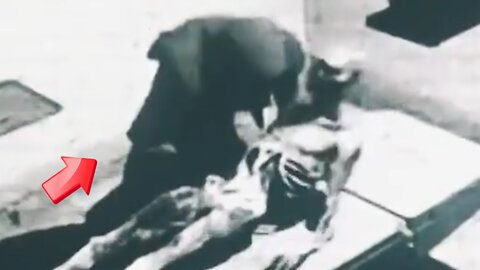 Resuscitation of the dead in the 1960s! real or fake [Conspiracy]