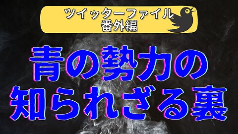 ツイッターファイル【番外編】アダム・シフの知られざる行動 #Twitterfiles #X #イーロンマスク #旧ツイッター