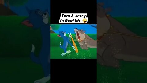 Tom and Jerry in real life part 2 #viral #ytshorts #viralvideo #shorts