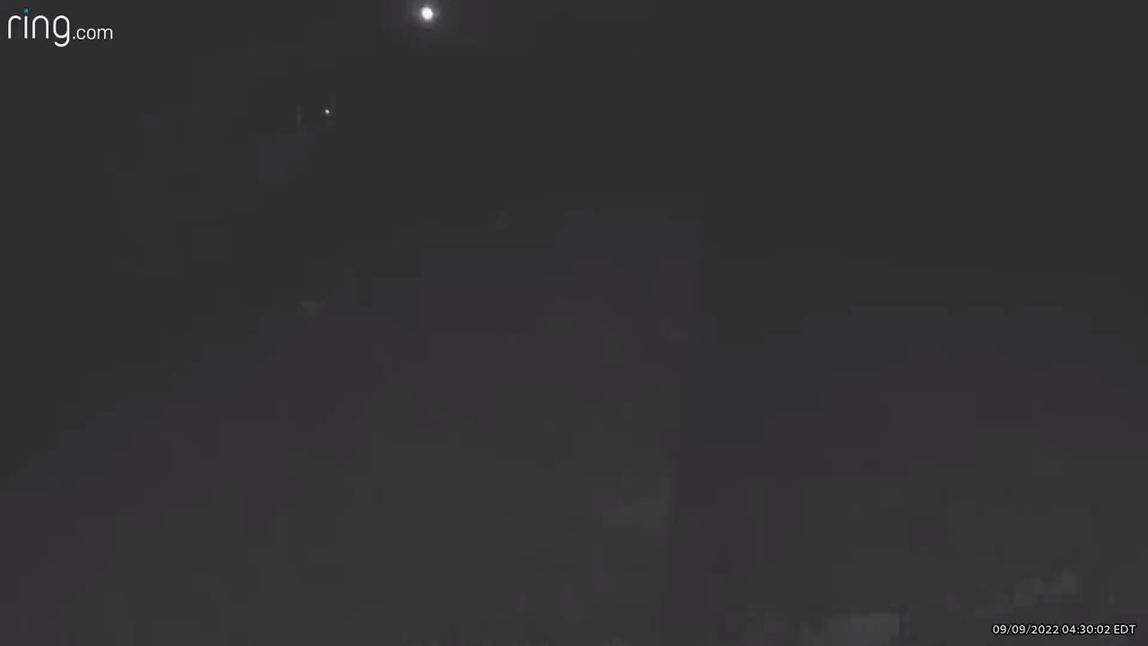 Deer and a fox playing in the yard under a full moon.
