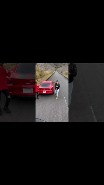 funny|prank|jokes|funny jokes|dad jokes|funny memes|funny video|fun|laughing|funny animal|knock