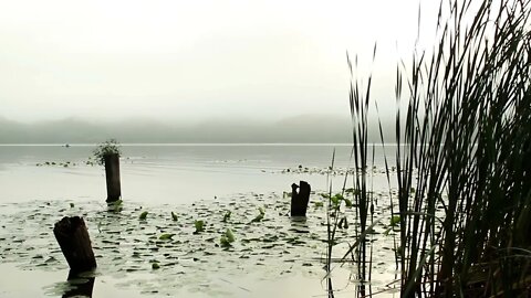 Beachfront B Roll Edge of Water Royalty Free Footage