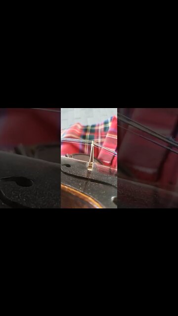 Looks Like I Need A Luthier