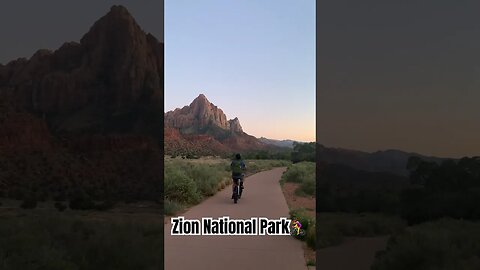 Exploring Zion National Park #shorts #short