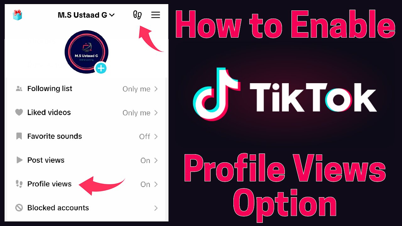 How to Enable Profile Views on Tiktok Option