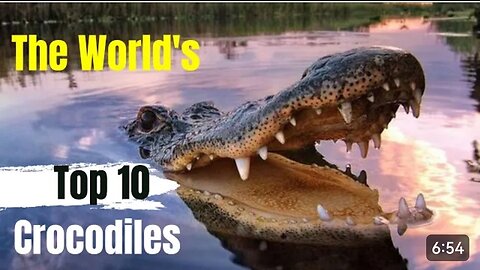 Top 10 dangerous animal in the world