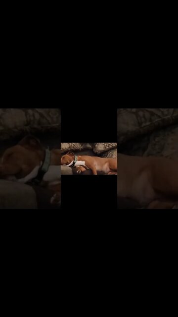 What a freeloader...