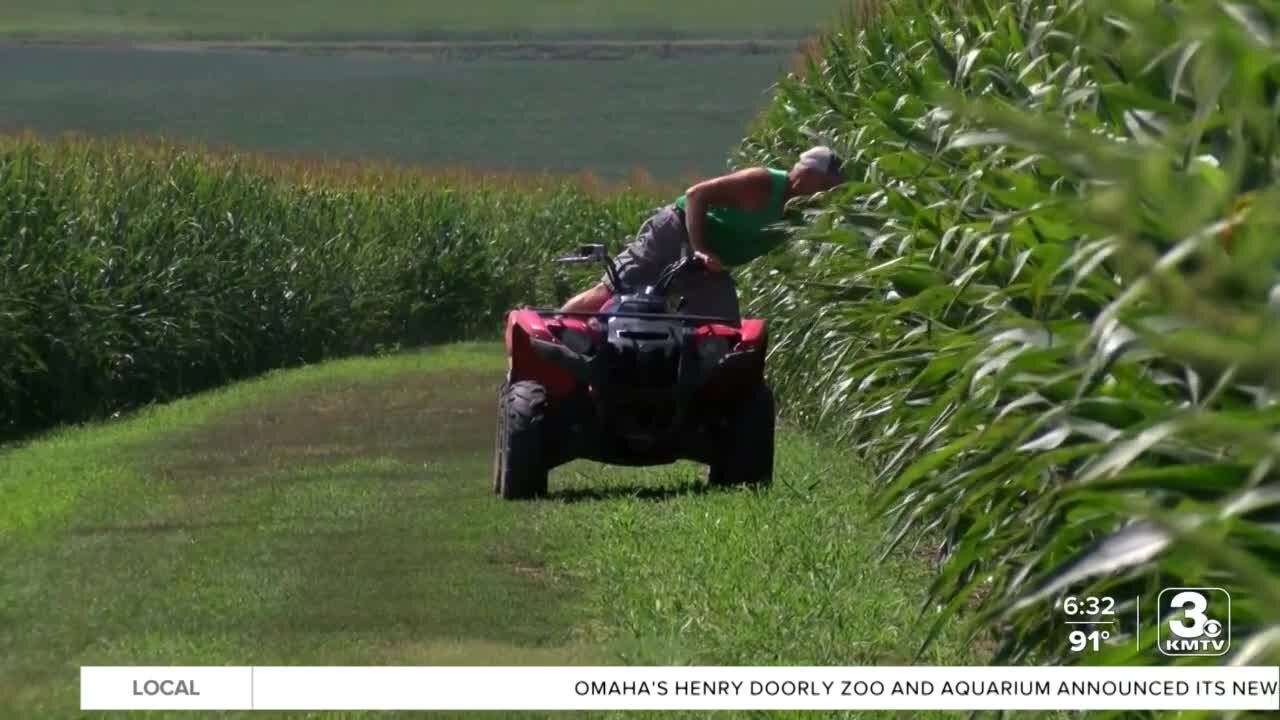 Nebraska farmer wants to protect atrazine use as EPA considers new rules for herbicide