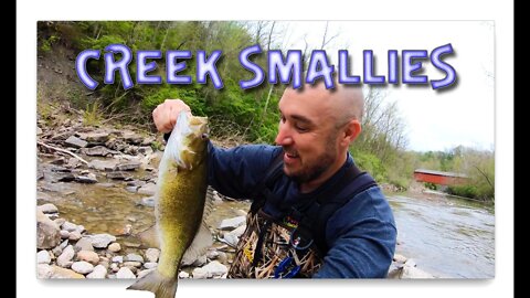 Wading for smallmouth in a shallow creek (Found em!!!!)