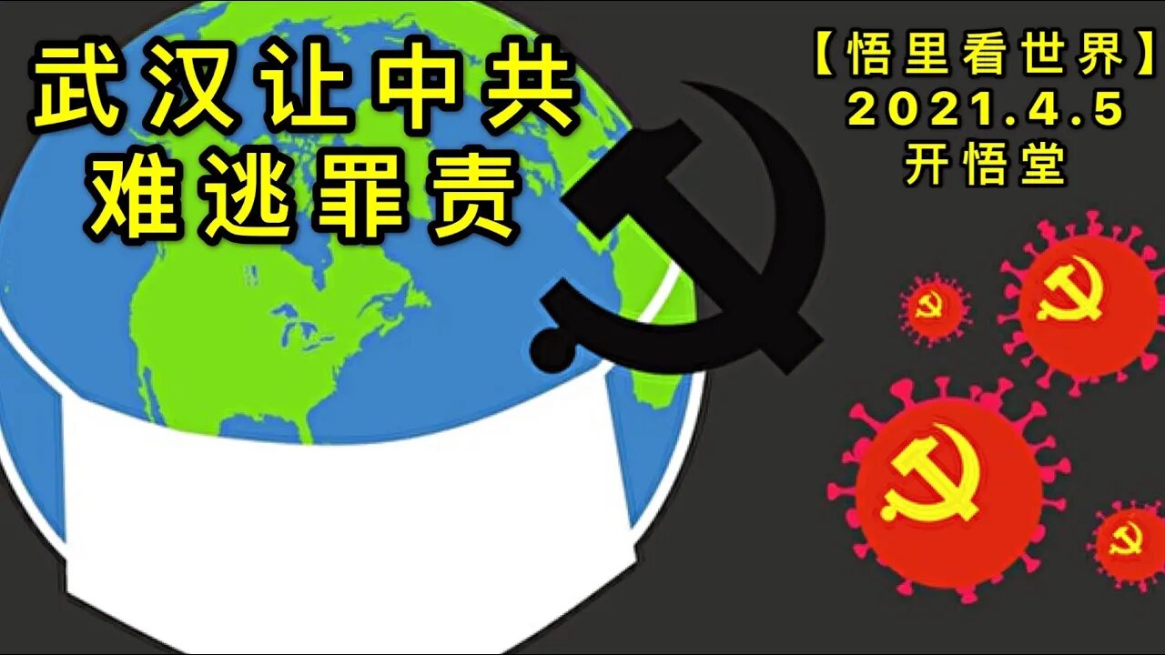 KWT1449 WH让ZG难逃罪责20210405-6【悟里看世界】